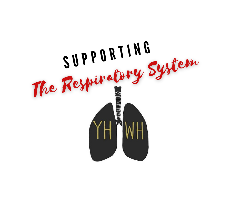 Respiratory System